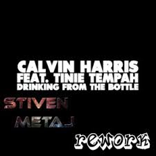 Calvin Harris Feat. Tinie Tempah - Drinking From The Bottle (Stiven Metaj)